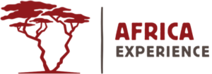 FindTourGuide