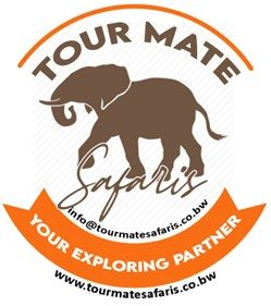 FindTourGuide