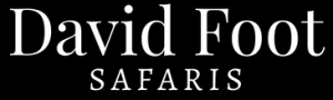 FindTourGuide