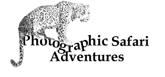 FindTourGuide