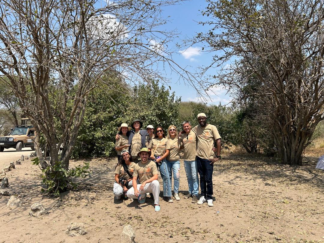 3-Day Tarangire, Ngorongoro & Lake Manyara Private Safari (Mid-Range)