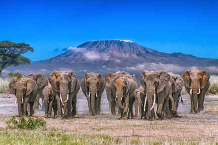 5-Day Budget Safari to Kenya