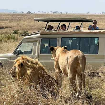 5 Days Maasai Mara, Nakuru & Naivasha — Best of Kenya Safari