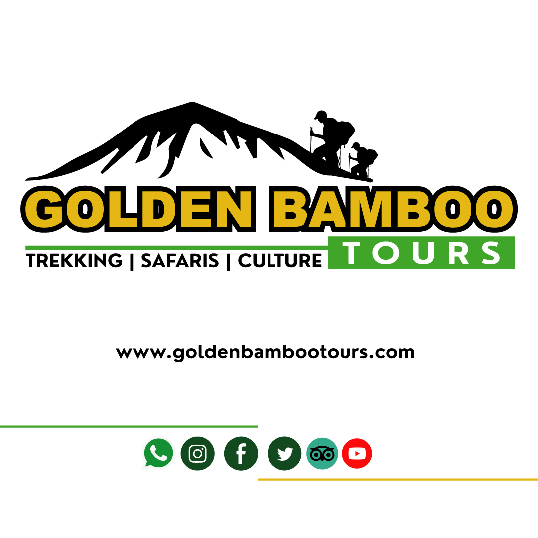 FindTourGuide