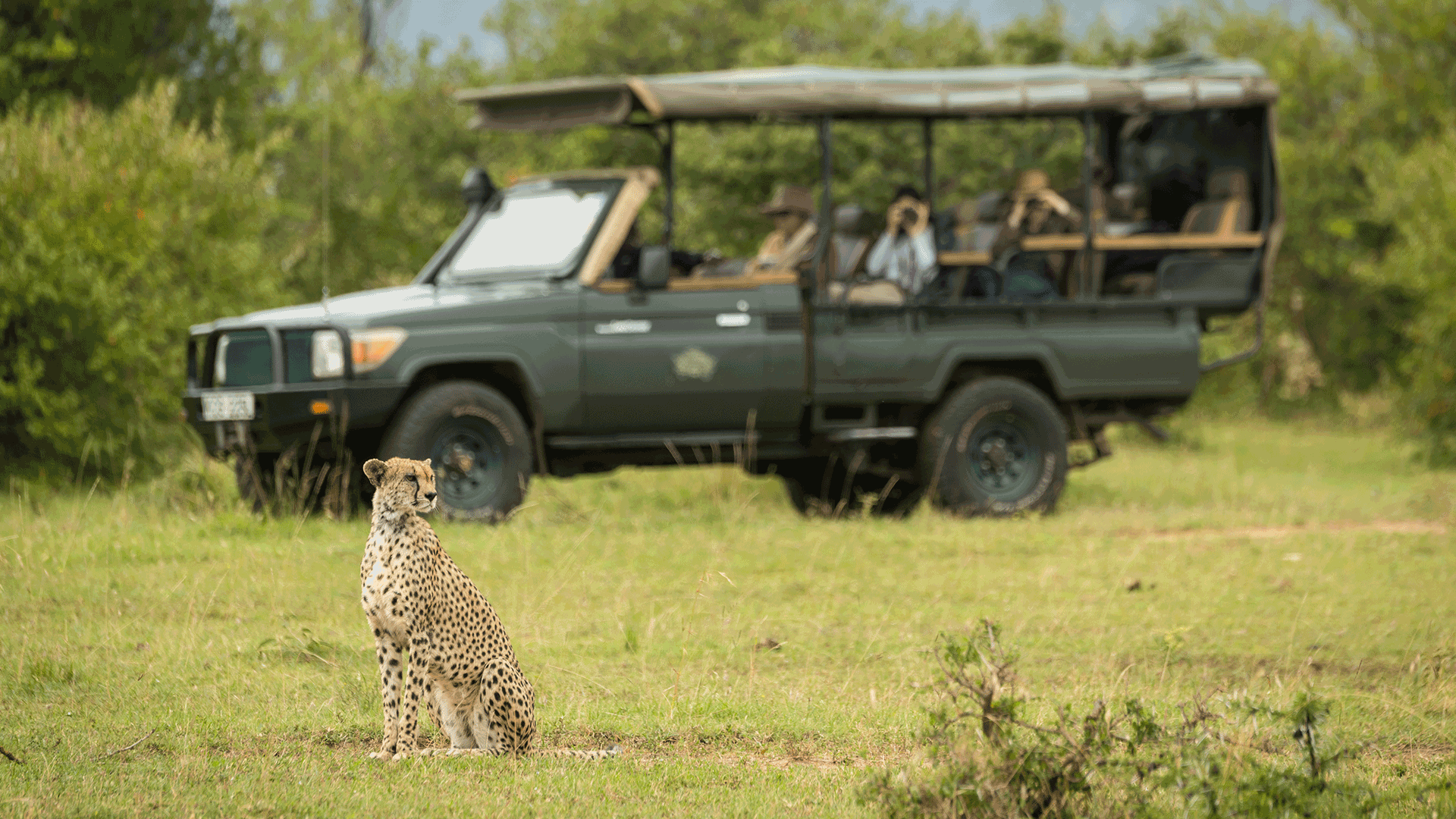 3 Days Masai Mara Premium Luxury Safari