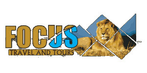 FindTourGuide