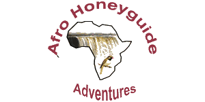 FindTourGuide