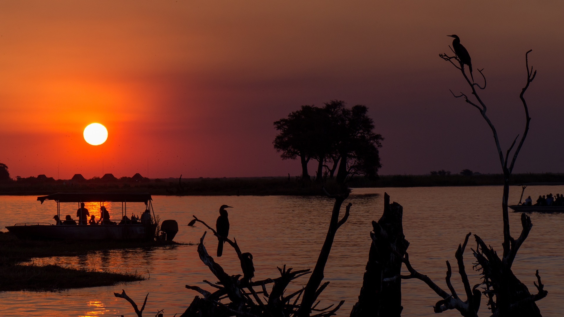 7-Day Victoria Falls, Hwange & Chobe Bush Safari