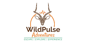 FindTourGuide
