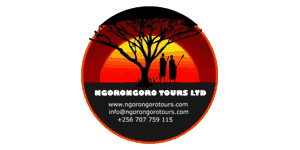FindTourGuide