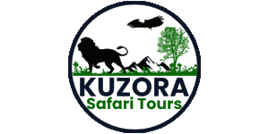 FindTourGuide