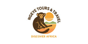 FindTourGuide