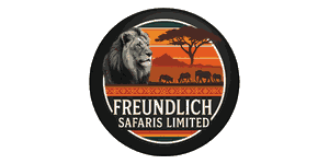 FindTourGuide