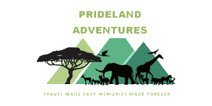 FindTourGuide