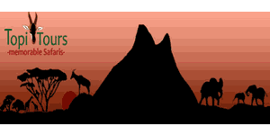 FindTourGuide