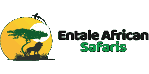 FindTourGuide