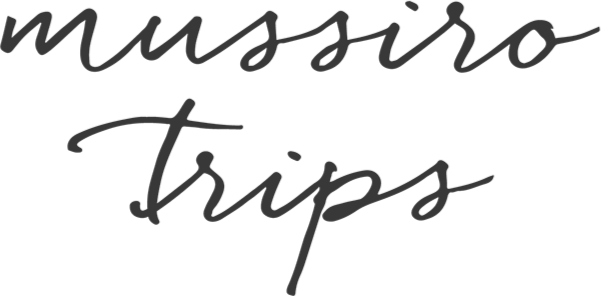 FindTourGuide