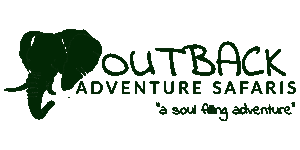 FindTourGuide