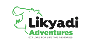 FindTourGuide