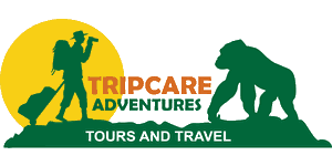FindTourGuide