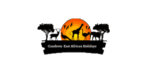 FindTourGuide