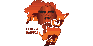FindTourGuide