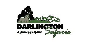 FindTourGuide