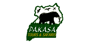 FindTourGuide