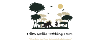 FindTourGuide