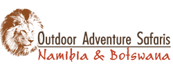 FindTourGuide