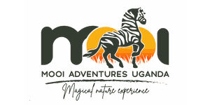FindTourGuide