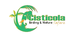 FindTourGuide