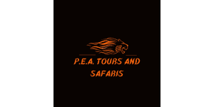 FindTourGuide