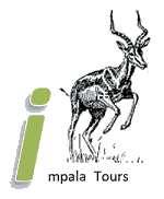 FindTourGuide