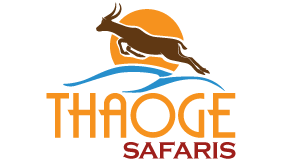 FindTourGuide