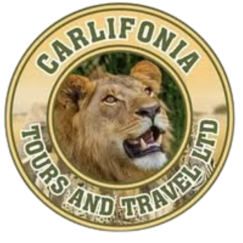 FindTourGuide