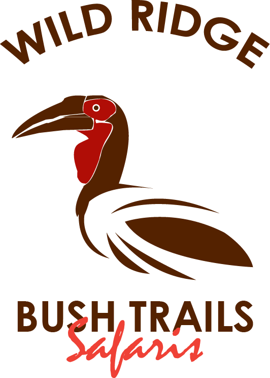 FindTourGuide