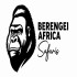 Berengei Africa Safaris