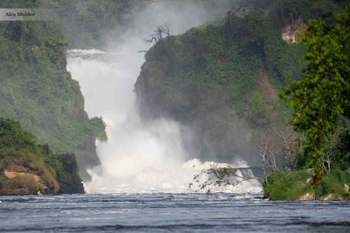 3-Day Explore Murchison Falls Park Safari Adventure