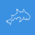 Whitetip Divers