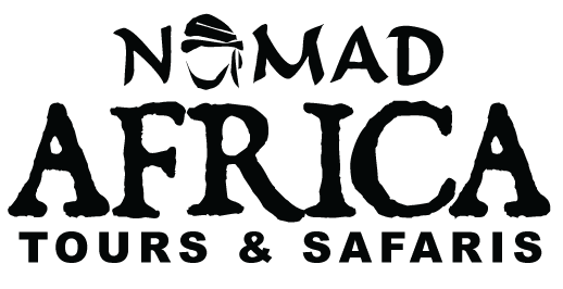 FindTourGuide