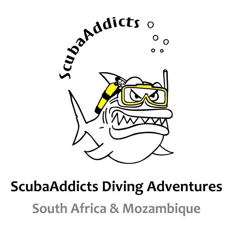 FindTourGuide