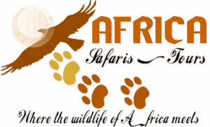FindTourGuide