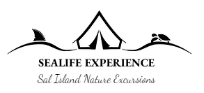 FindTourGuide