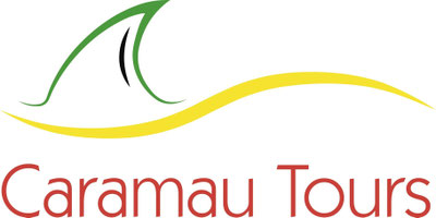 FindTourGuide