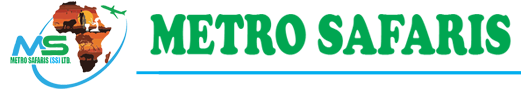 FindTourGuide