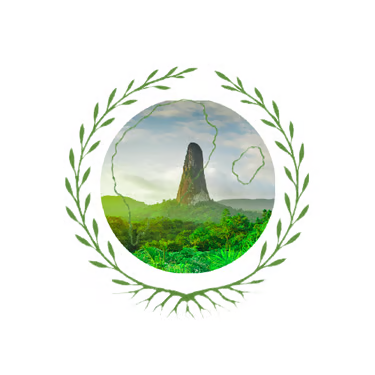 FindTourGuide