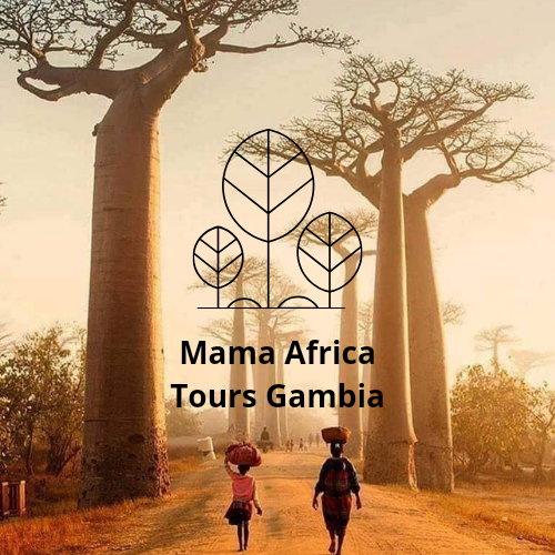 FindTourGuide