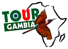 FindTourGuide