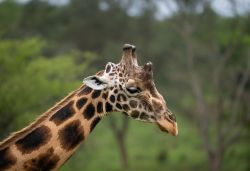 Day 2 图片 3